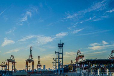 Yokohama Limanı Turna grubu ve akşam
