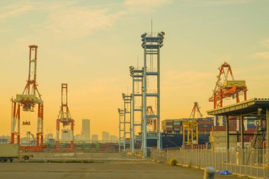 Yokohama Limanı Turna grubu ve akşam