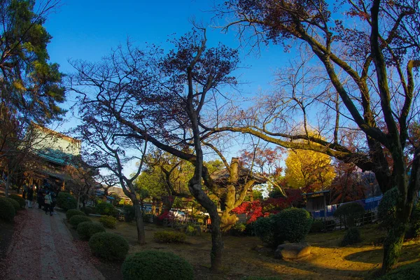 Afbeelding Van Herfstkleuren Van Gotokuji — Stockfoto