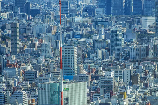 건물의 망대에서 바라본 도쿄의 — 스톡 사진