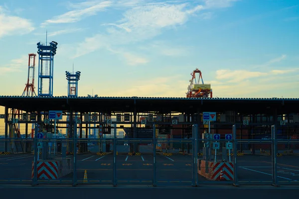 横浜港 夕方のクレーン群 — ストック写真