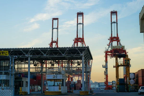 Jeřábí Skupina Yokohama Port Večer — Stock fotografie