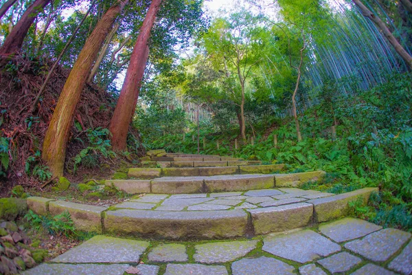 Tangga Dari Batu Berjamur Lumut — Stok Foto