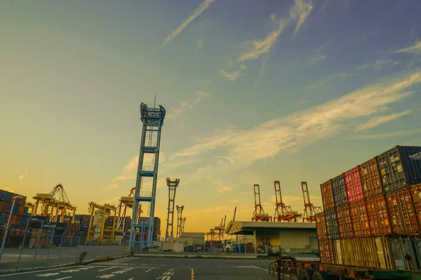 横浜港 夕方のクレーン群 — ストック写真