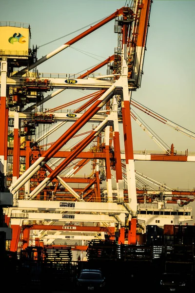 Crane Ryhmä Yokohama Port Ilta — kuvapankkivalokuva
