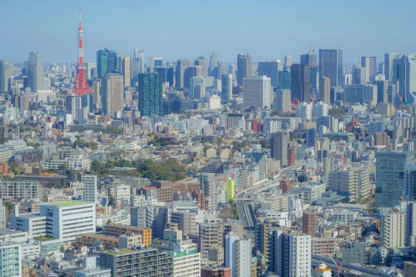 Tokyo Silueti Ebisu Garden Gözlemevi Nden Görüldü — Stok fotoğraf