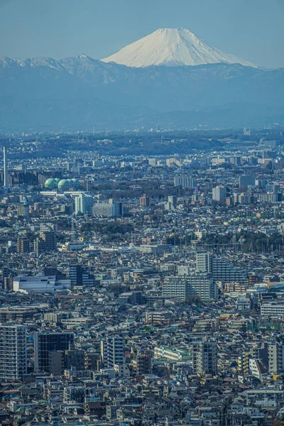 Die Skyline Von Tokio Und Der Berg Fuji Der Vom — Stockfoto