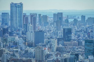 Tokyo Metropolitan Hükümet Binası 'nın gözlem güvertesinden Tokyo silueti görüldü