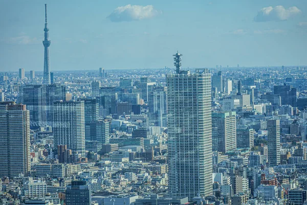 Skyline Tokyo Visto Dal Ponte Osservazione Del Tokyo Metropolitan Government — Foto Stock