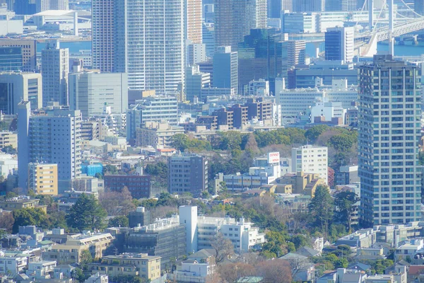 Tokio Skyline Gezien Vanaf Het Observatorium Ebisu Garden Place — Stockfoto