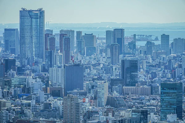 東京都庁舎展望台から見た東京スカイライン — ストック写真