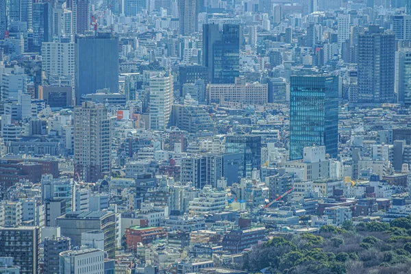 Tokion Horisonttiin Nähtynä Ebisu Garden Place Observatorio — kuvapankkivalokuva