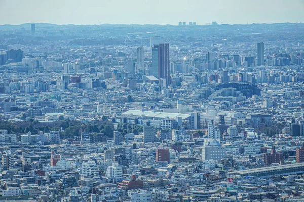 Tokio Skyline Gezien Vanaf Het Observatorium Ebisu Garden Place — Stockfoto