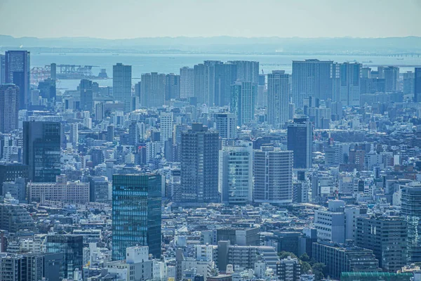 Tokyo Metropolitan Hükümet Binası Nın Gözlem Güvertesinden Tokyo Silueti Görüldü — Stok fotoğraf