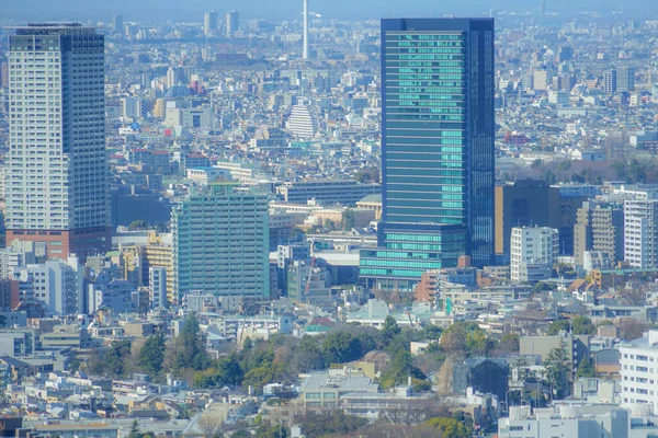 Tokyo Silueti Ebisu Garden Gözlemevi Nden Görüldü — Stok fotoğraf