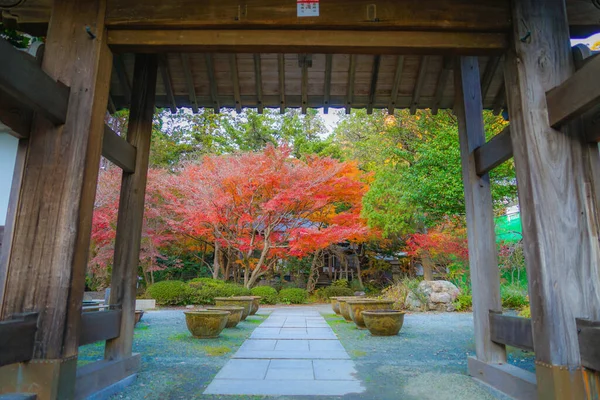 Hojas Otoño Horizonte Kamakura —  Fotos de Stock