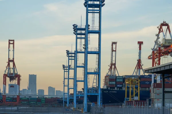 Kraangroep Yokohama Port Avond — Stockfoto