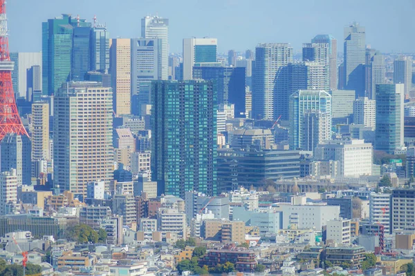 Tokio Panorama Widziana Obserwatorium Ebisu Garden Place — Zdjęcie stockowe