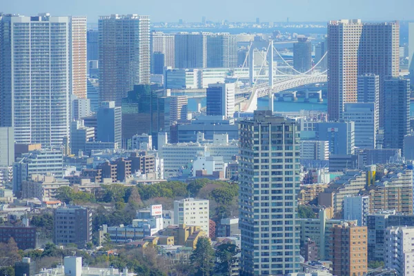 Tokyo Skyline Seen Ebisu Garden Place Observatory — Stock Photo, Image