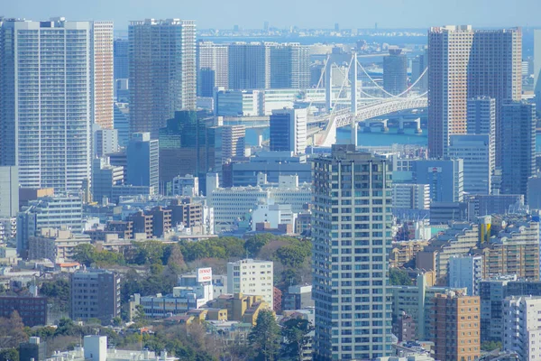 Die Skyline Von Tokio Vom Ebisu Garden Place Observatorium Aus — Stockfoto