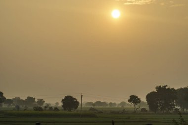 Akşam ve otlaktaki Hindistan 'ın görüntüsü.
