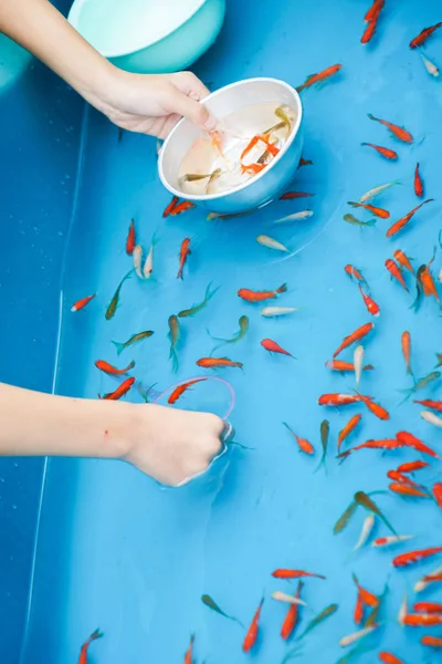 Bild Guldfisk Räddning Sommarfestivalen — Stockfoto