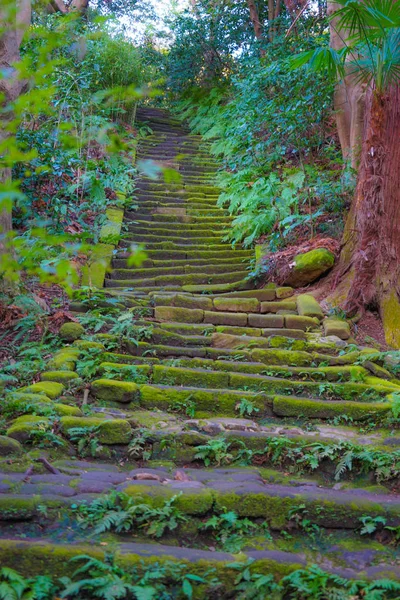 Escadas Pedra Mofo Musgo — Fotografia de Stock