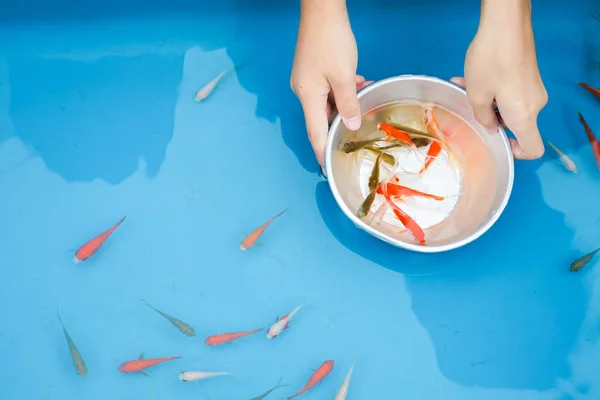 Bild Guldfisk Räddning Sommarfestivalen — Stockfoto