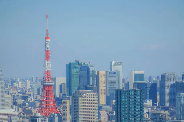 Tokyo Silueti Ebisu Garden Gözlemevi Nden Görüldü — Stok fotoğraf