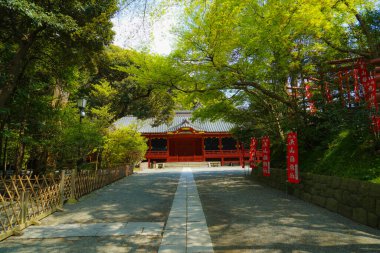 Kamakura 'nın taze yeşili, Tsuruoka Hachiman
