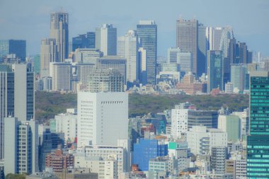 Tokyo silueti Ebisu Garden Gözlemevi 'nden görüldü