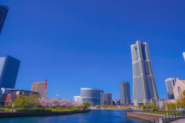 Sakura ve Yokohama Minato Mirai 'nin çiçeklenmiş çatıları.