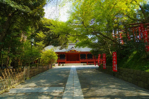 Het Verse Groen Van Kamakura Tsuruoka Hachiman — Stockfoto