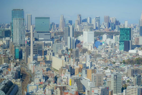 Skyline Tokyo Visto Dall Osservatorio Ebisu Garden Place — Foto Stock