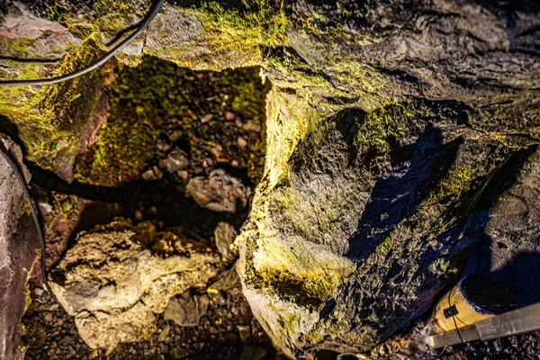 Tipo Árvore Lava Pesquisa Caverna — Fotografia de Stock