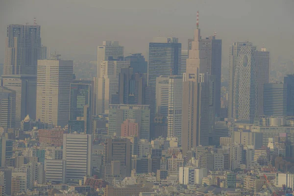 Tokyo Skyline Seen Roppongi Hills — Stock Photo, Image