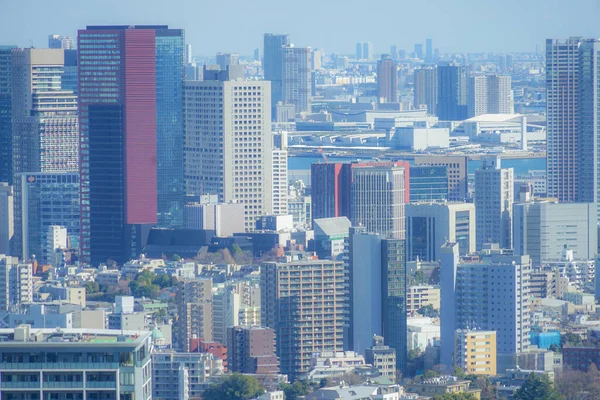 Horizonte Tóquio Visto Observatório Ebisu Garden Place — Fotografia de Stock