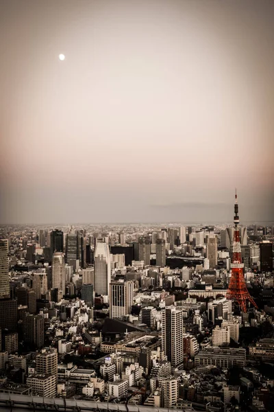 Horizonte Tóquio Visto Das Colinas Roppongi — Fotografia de Stock