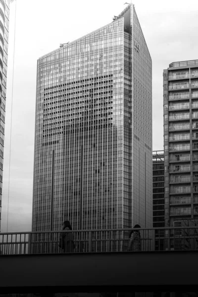 Calles Minato Tokio Monocromo —  Fotos de Stock