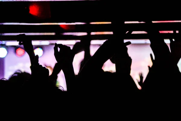 Van Het Feest Live Het Nachtclubbeeld — Stockfoto