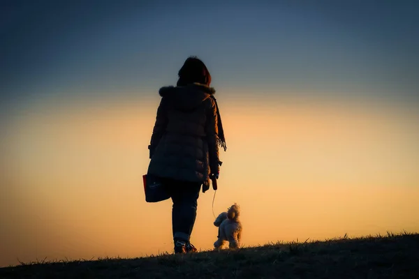 Womens Silhouette Standing Twilight Hill — Stock Photo, Image