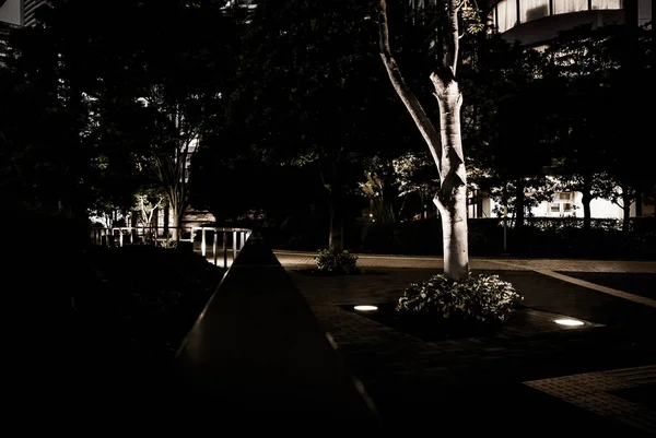Tokió Shiodome Éjszakai Nézet — Stock Fotó