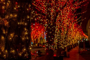 Noel Aydınlatmaları ve gece görüntüsü