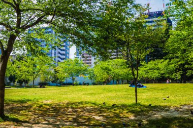 Jozenji as fresh green (Miyagi Bölgesi, Sendai Şehri)