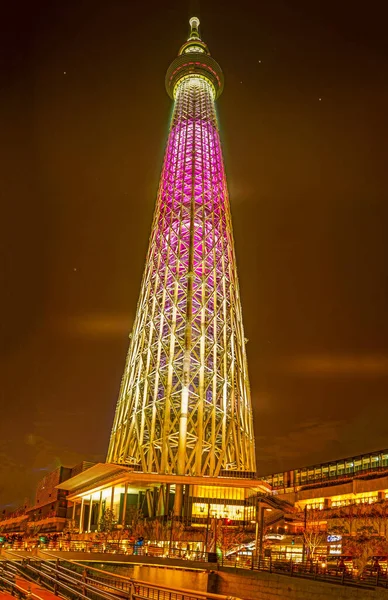 Vista Nocturna Luz Hasta Árbol Del Cielo Tokio — Foto de Stock