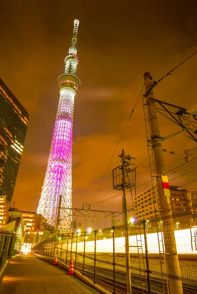 Vista Nocturna Luz Hasta Árbol Del Cielo Tokio — Foto de Stock