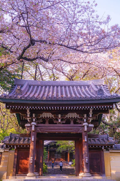 Kanun Adamı Sakura Aketera Toshima Tokyo — Stok fotoğraf