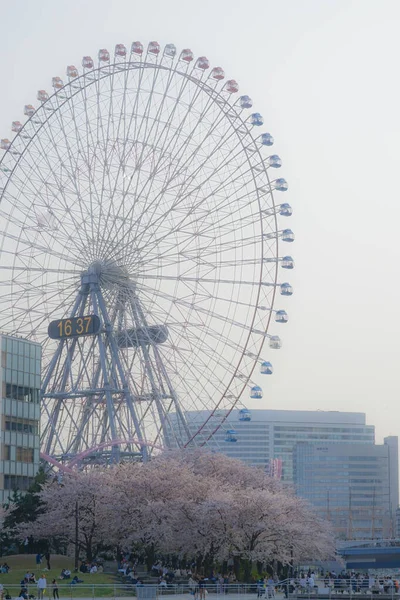 Yokohama Minato Mirai Panorama Widoczna Łodzi Przyjemności — Zdjęcie stockowe