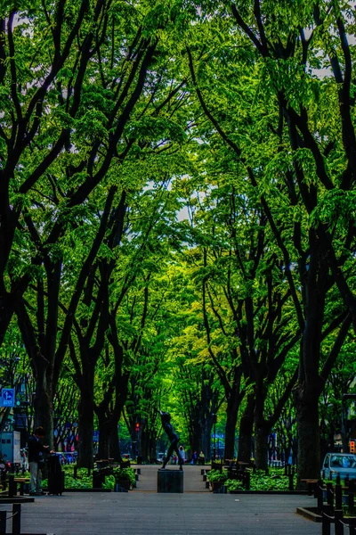 Jozenji Como Verde Fresco Prefectura Miyagi Ciudad Sendai —  Fotos de Stock