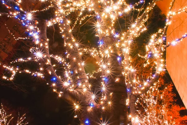 Weihnachtsbeleuchtung Und Die Nachtansicht Des Bildes — Stockfoto